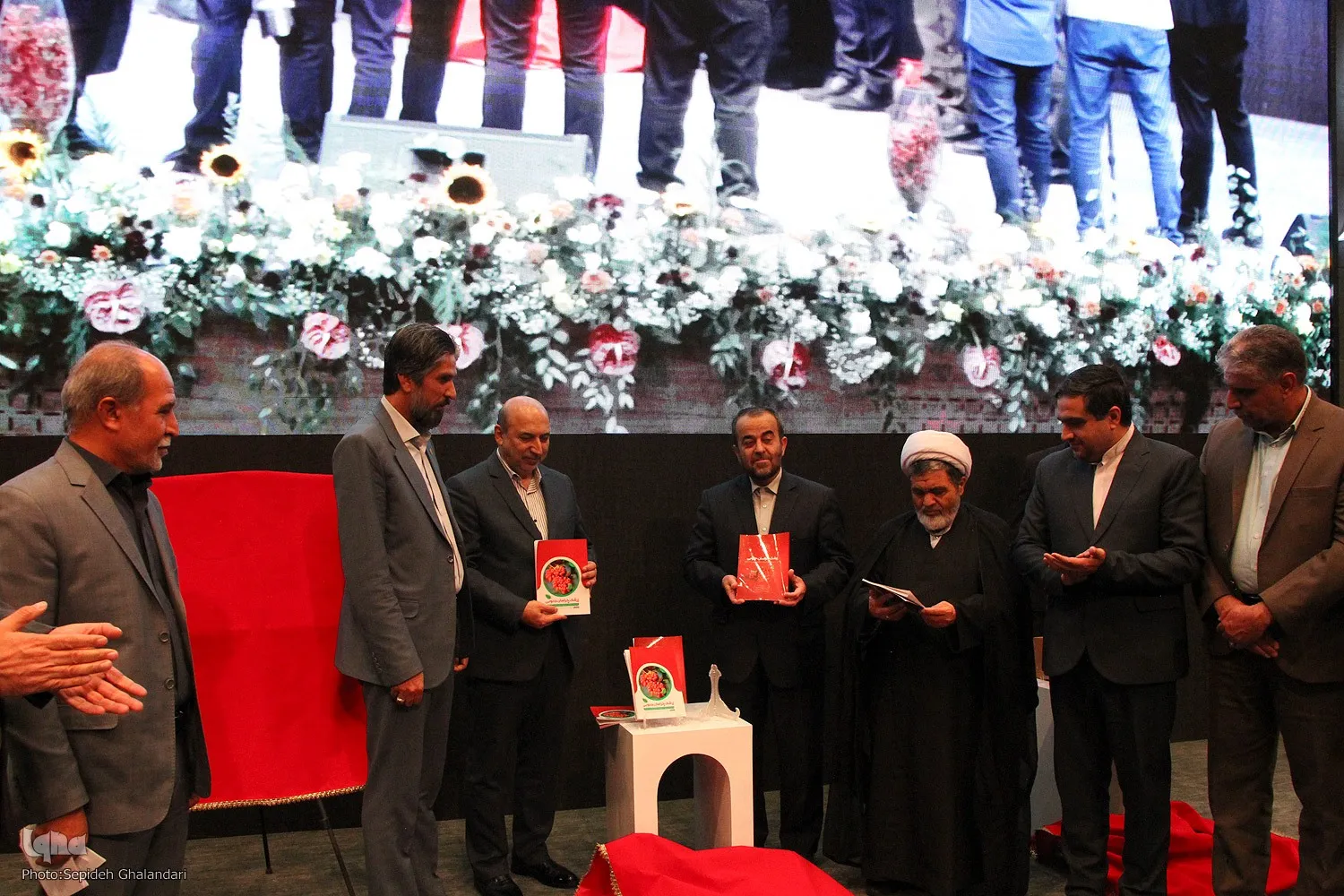 پایان دومین جشنواره ملی زرشک خراسان‌جنوبی