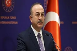 Turkey Calls for Collective Action against Racism, Islamophobia