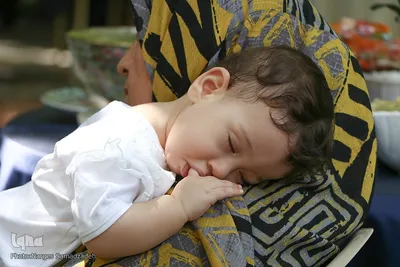 طعم نذری‎