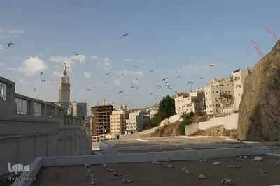 قبرستان ابوطالب