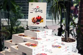 جشن امضای کتاب «یادت باشد»