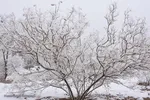 برف، رحمت الهی در سمنان