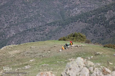 بقعه امامزاده پیرداوود‎