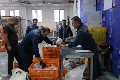 ذبح و توزیع گوشت قربانی بین نیازمندان در تبریز