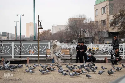 چهارراه کبوترها‎‎