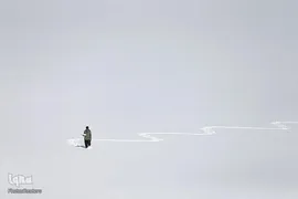 یک مرد افغان برای فروش تخم مرغ های آب پز شده خود در بازار، از دریاچه پوشیده از برفی در شهر کابل افغانستان عبور می کند.