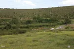 امام زاده ای در دل طبیعت بکر و جنگلی اهر