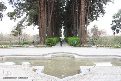 شکوه یک باغ ایرانی