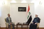 انحصار سلاح یک موضوع داخلی عراق است