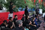 ویژه برنامه «سِرّ سَر» در گلزار شهدای شیراز‎‎