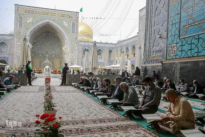 جزء خوانی قرآن کریم در حرم مطهر رضوی
