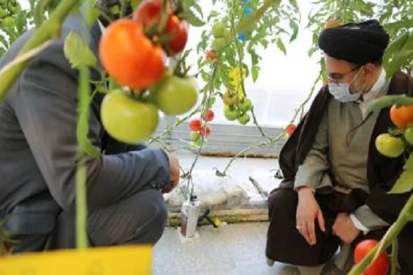 اوقاف باید در تولید مواد غذایی کشور سهیم باشد