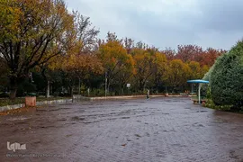 یک روز پاییزی بارانی