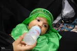 مراسم شیرخوارگان حسینی در اصفهان