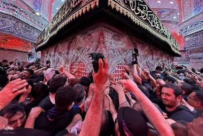 بازدید مسئولان حج و زیارت از خدمات به زائران در مسیر مشایه و کربلای معلی