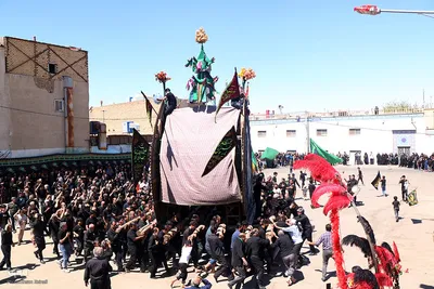 مراسم نخل‌برداری به مناسبت شهادت امام رضا(ع) در یزد‎