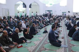 بزرگداشت استاد مهدوی دامغانی