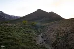 لاله‌های واژگون؛ روایت بهار در گلستان‌کوه خوانسار