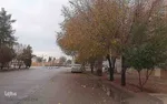 طبیعت پاییزی یزد در قاب تصویر