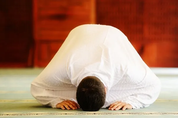 طاعةُ الله هي السبيل الأوحد للسعادةِ في الدنيا والآخرة