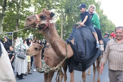 مراسم پیاده‌روی جاماندگان اربعین حسینی در ملایر ‎