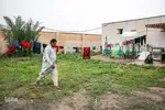 فعالیت فرهنگی کانون پرورش فکری کودکان و نوجوانان استان خوزستان در مناطق سیل زده 