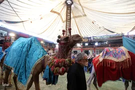 شب عاشورا در خوانسار