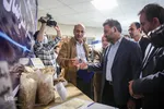 بازدید معاون علمی و فناوری ریاست جمهوری از جهاد دانشگاهی خراسان رضوی
