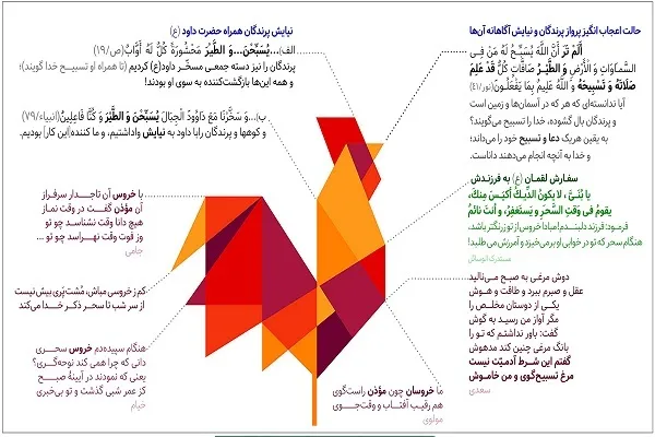 چگونه تسبیح موجودات جهان را درک کنیم + اینفوگرافیک
