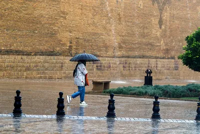بارش باران پاییزی در شیراز