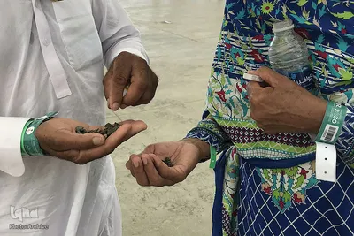 مناسک حج در عید قربان