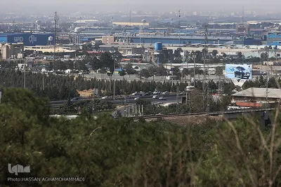 پارک جنگلی چیتگر