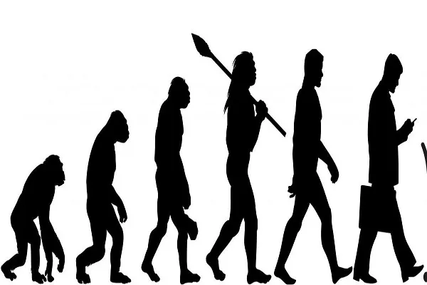 O Homem Moderno Evoluiu dos Macacos