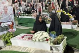 به یاد همه دختران میناب