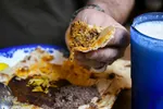 بریان غذای سنتی نصف جهان