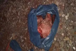 Schweinekopf auf Terrasse eines Muslims gelegt