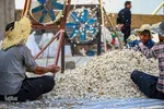صادرات سیر؛ محصول پرخاصیت و معروف همدان