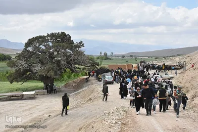 آیین سنتی «شیردوشان» در دیباج دامغان