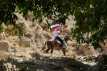 سوارکاران خراسان شمالی در راه مشهد