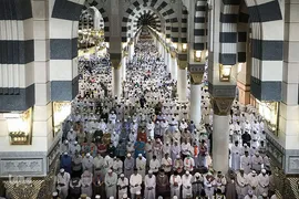 شوق زیارت حرم نورانی حضرت رسول(ص) در مدینه منوره