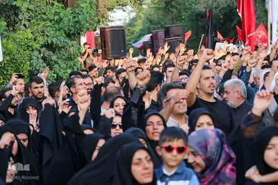 تجمع شیرازی‌های غیور علیه ضاربین بانوی آمر