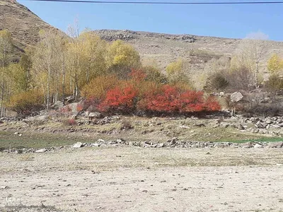 طبیعت بکر و پاییزی روستای انجرد شهرستان اهر