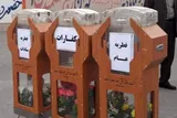 زکات فطریه در هر شهر به نیازمندان همان شهر اختصاص یابد