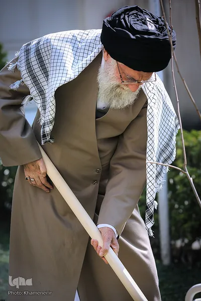 کاشت نهال در هفته منابع طبیعی توسط رهبر انقلاب