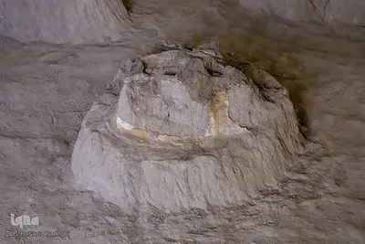 مراغه بهشت پستانداران ماقبل تاریخ‎‎
