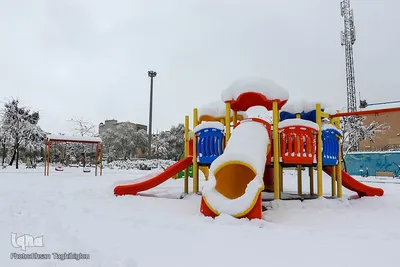 بارش اولین برف پاییزی - زنجان