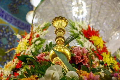 حال و هوای بارگاه علوی در آستانه میلاد امام علی(ع)