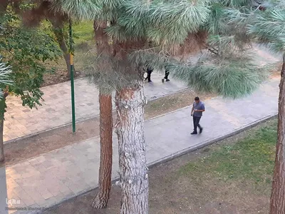 ریشه در خاک، سمبل مقاومت و ایستادگی