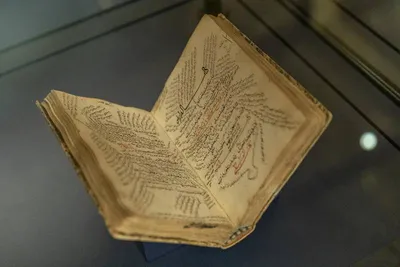 Ausstellung zeigt historischen Beitrag des Islams zur Welt