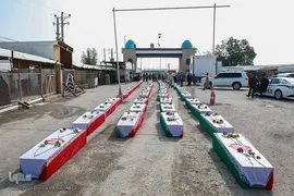 بازگشت لاله‌ها به آغوش وطن